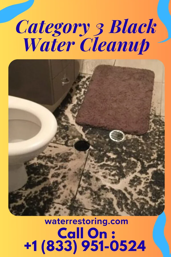 Category 3 Black Water Cleanup in Pretty Bayou, FL