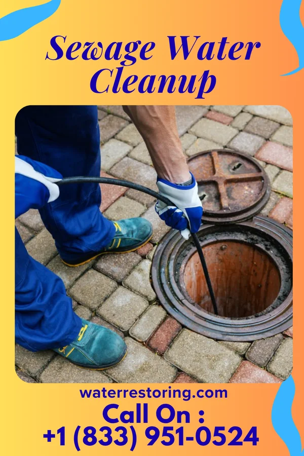 Sewage Water Cleanup in Pretty Bayou, FL