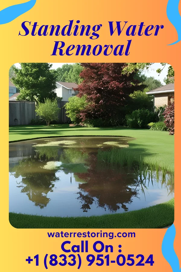 Standing Water Removal in Pretty Bayou, FL